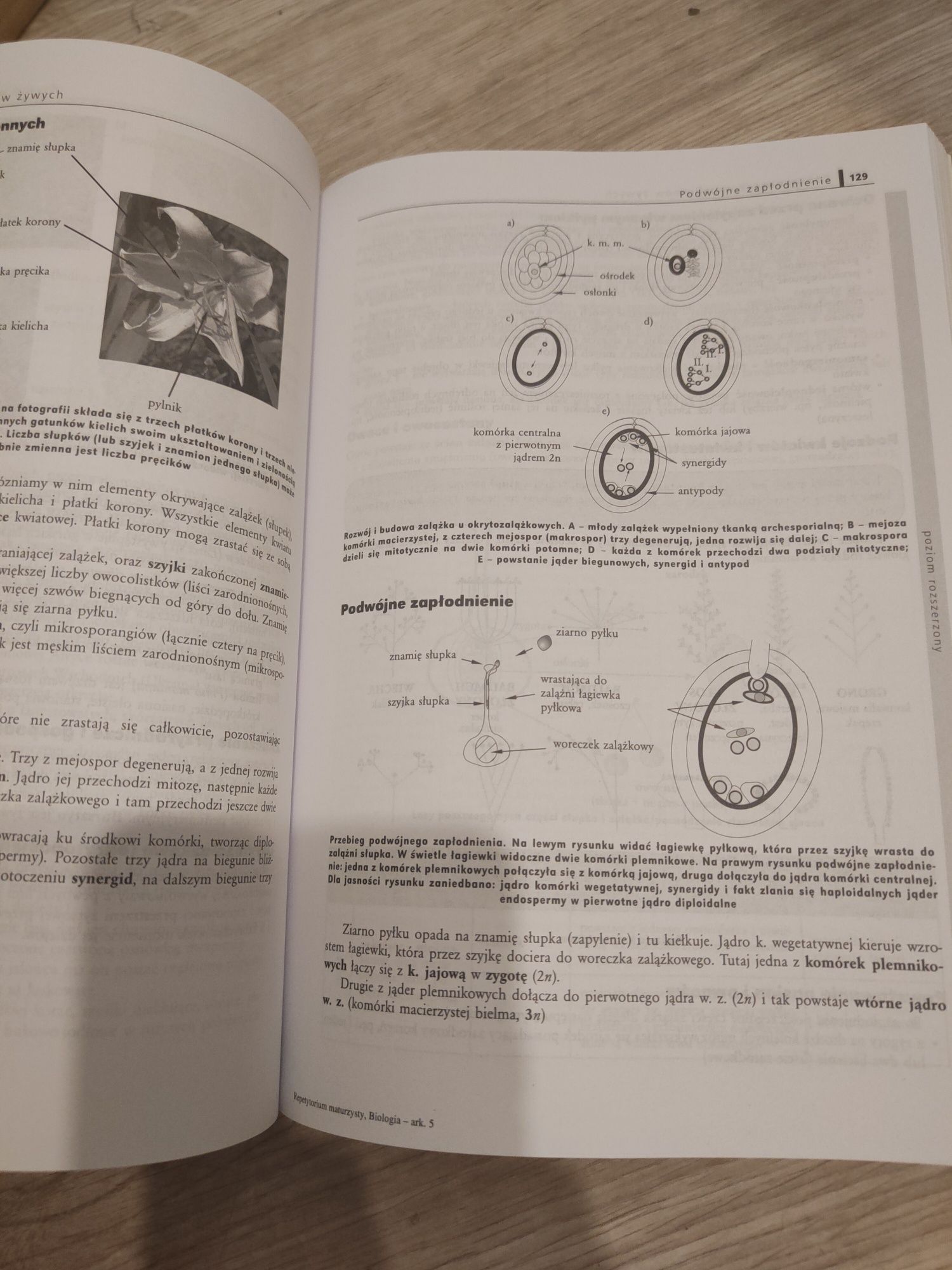 Repetytorium maturalne biologia