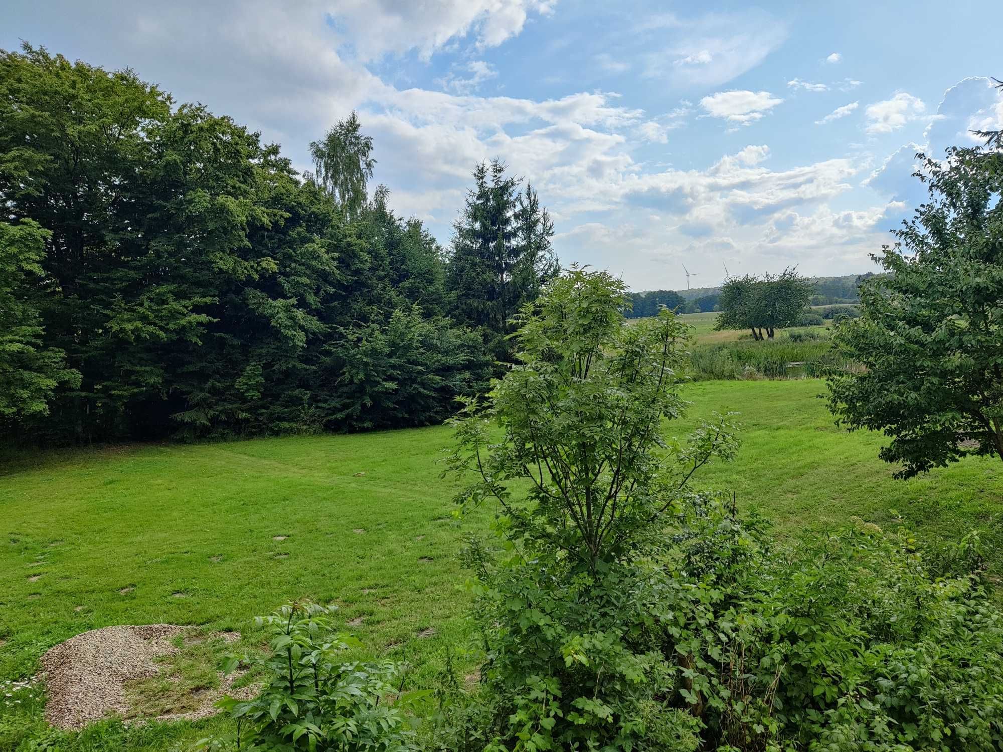 Domki nad stawem. Sauna, Jacuzzi, basen