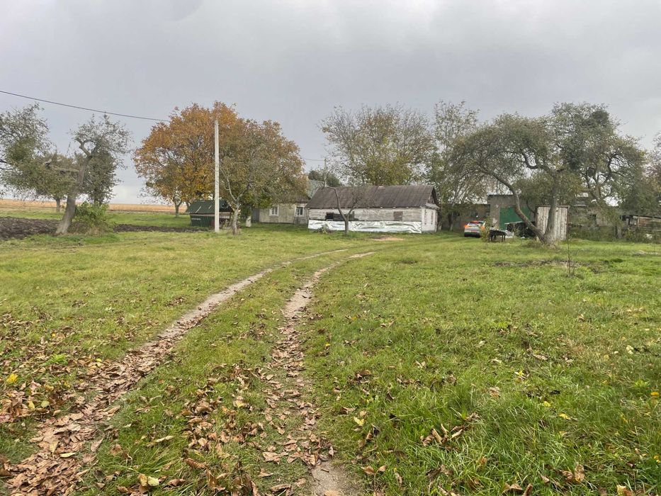 Продам або здам в оренду свиноферму