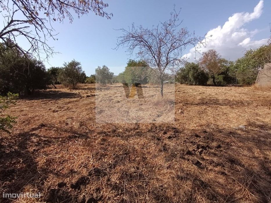 Terreno com armazém.
