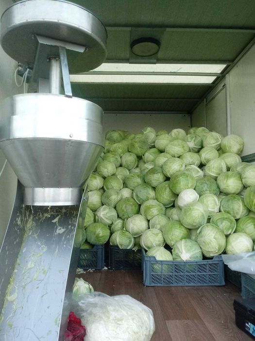 Kapusta szatkowana od lokalnego producenta DOSTAWA 24h