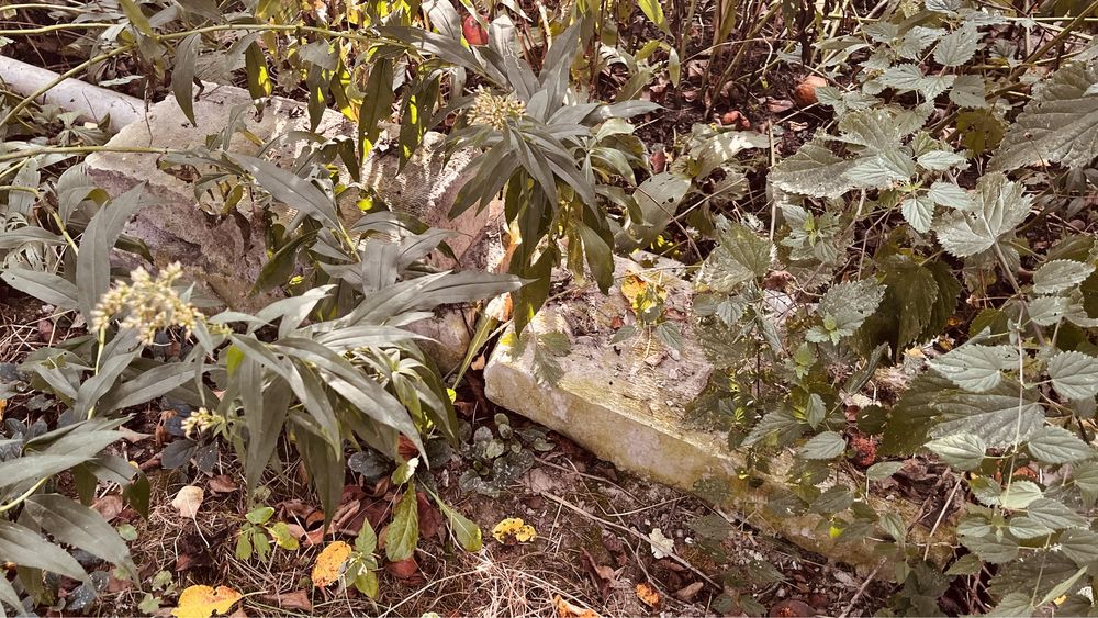 Oddam za darmo gruz beton