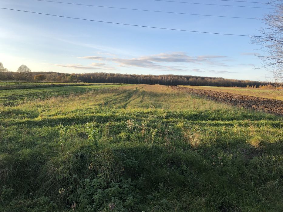 Продам Терміново Земельну Ділянку під будівництво