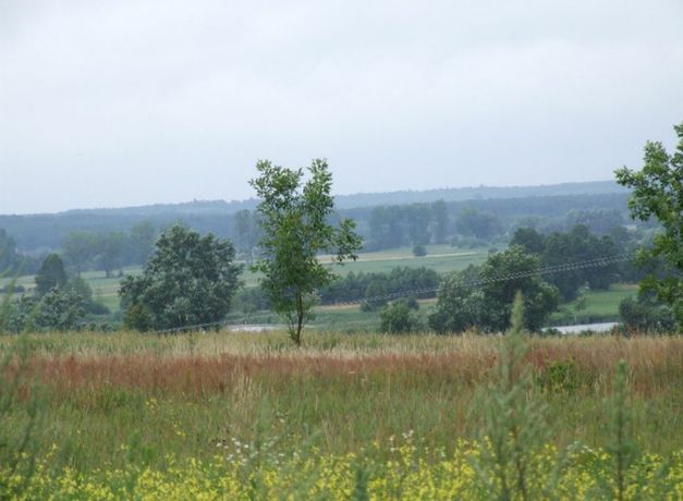 Działka 2000m2 na sprzedaż