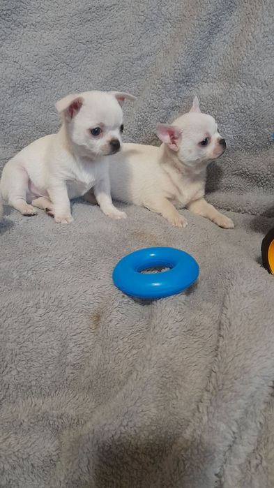 Щастя таки існує