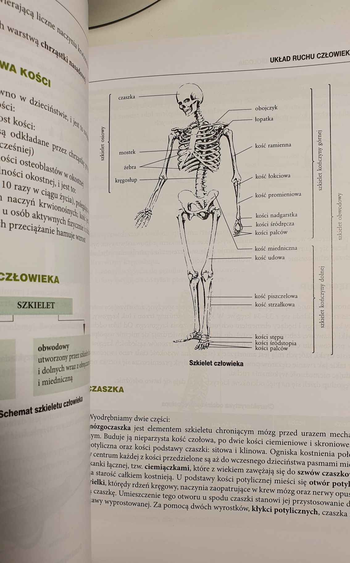 Matura biologia vademecum GREG