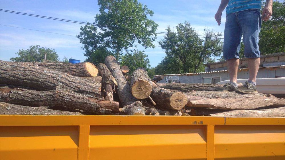 Широкий вибір порід дров та швидка доставка! Купуйте відразу.