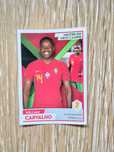 Cromo William Carvalho FPF Portugal