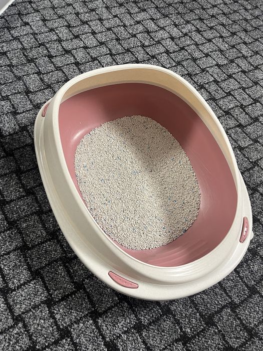 Туалет для котів , лоток для котів .