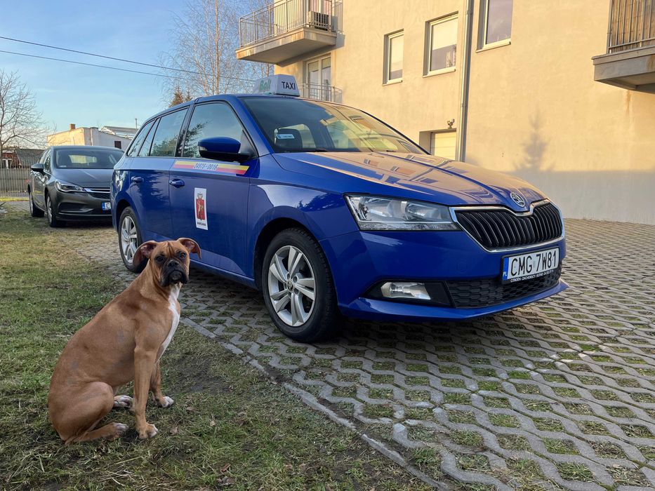 Wynajem Toyota Corolla, Fabia - Bolt, Uber, taxi Warszawa, BLINKERS