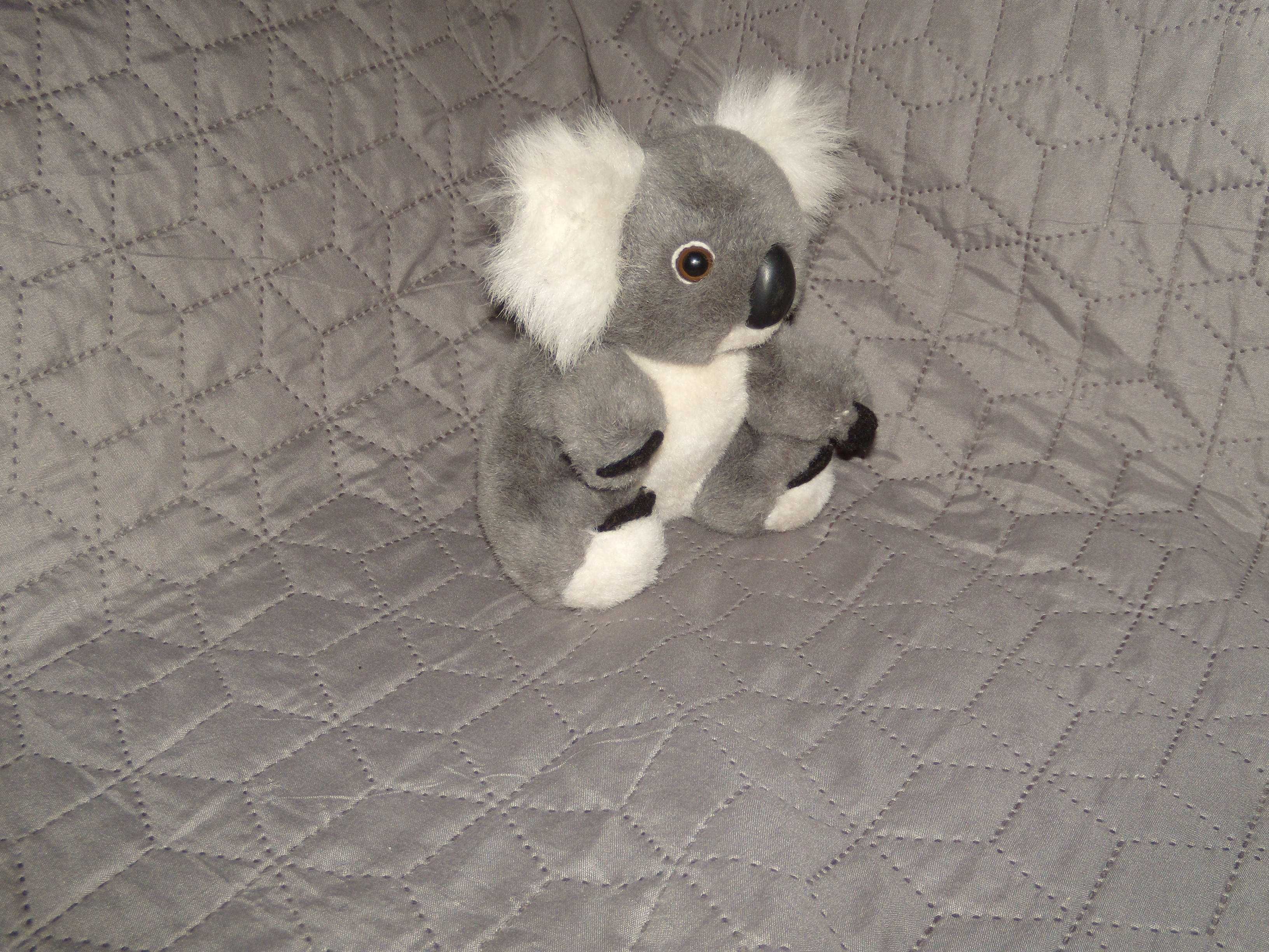 Miś Koala maskotka