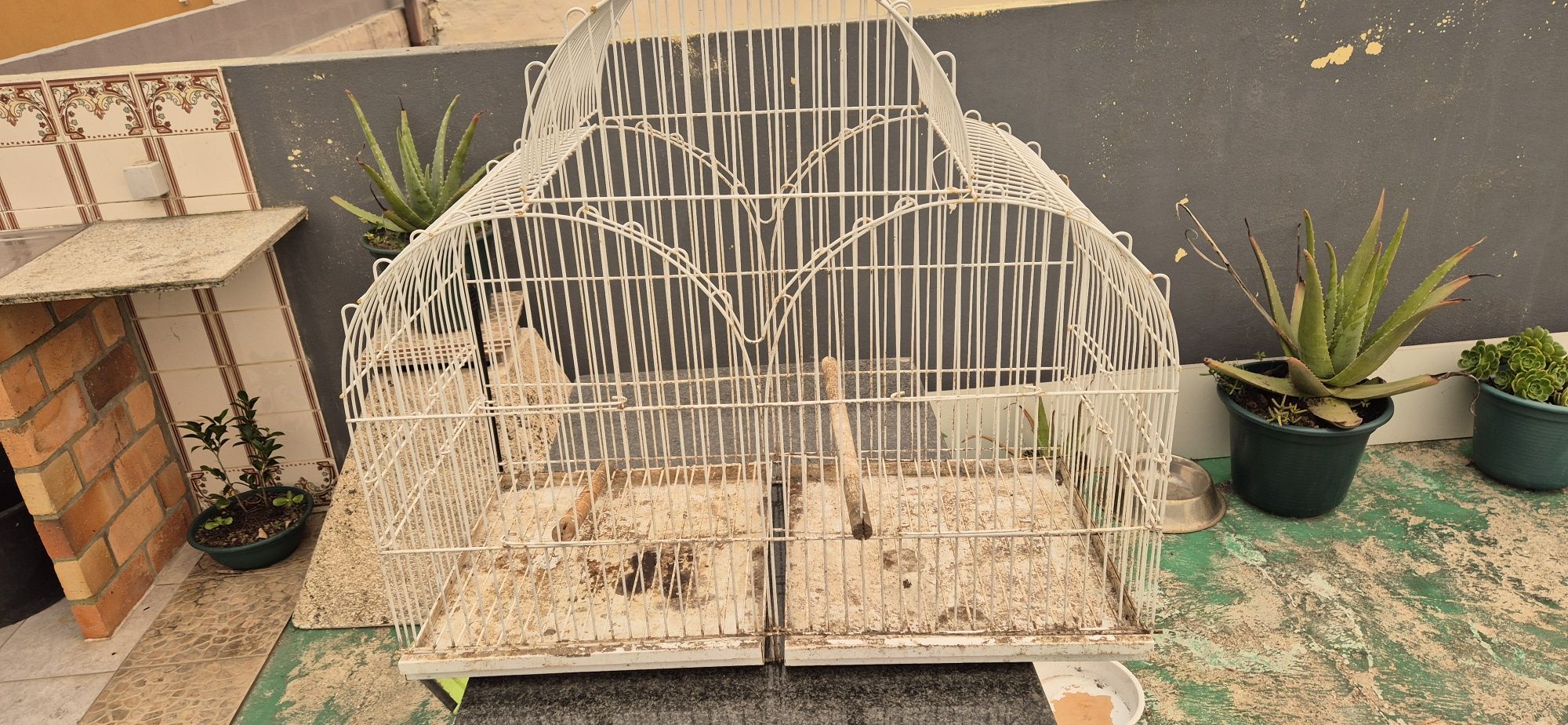 Gaiolas para pássaros