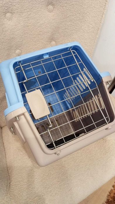 Box transporte de animais Azul