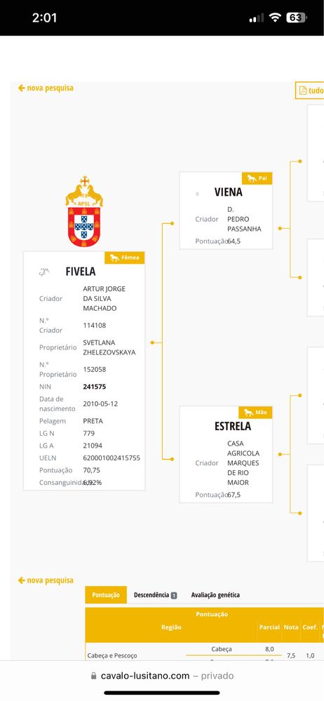 egua preta pura lusitana pontuada