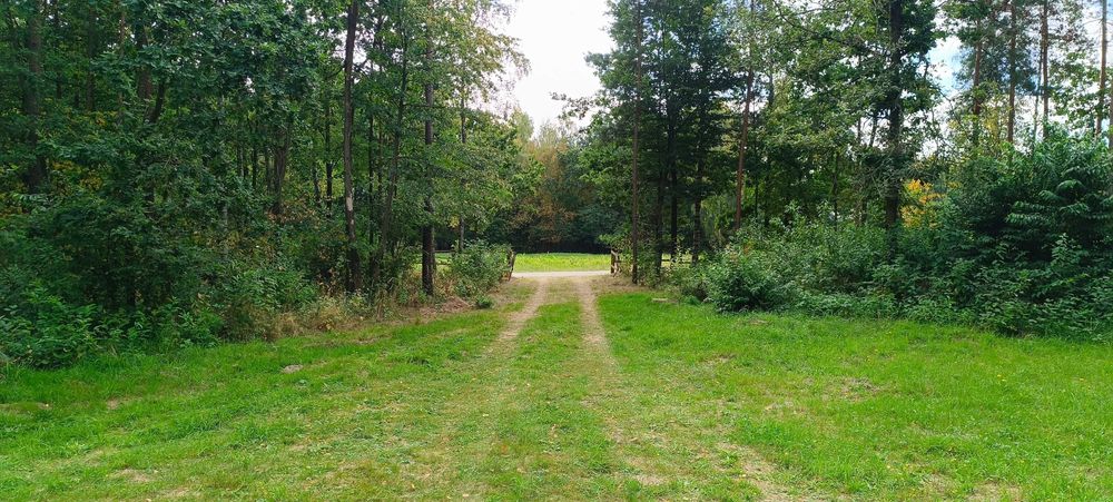 Sprzedam Działkę Leśno-Rekreacyjną