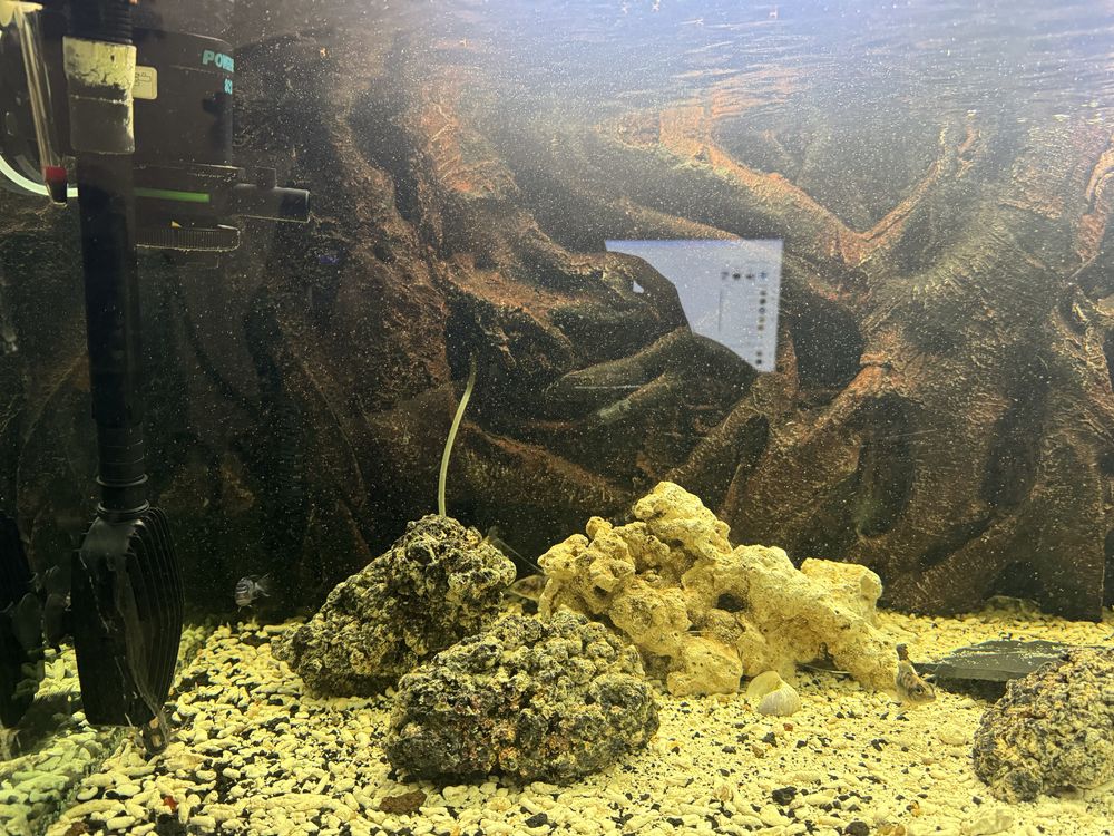 Aquario 600L prefeito para criação