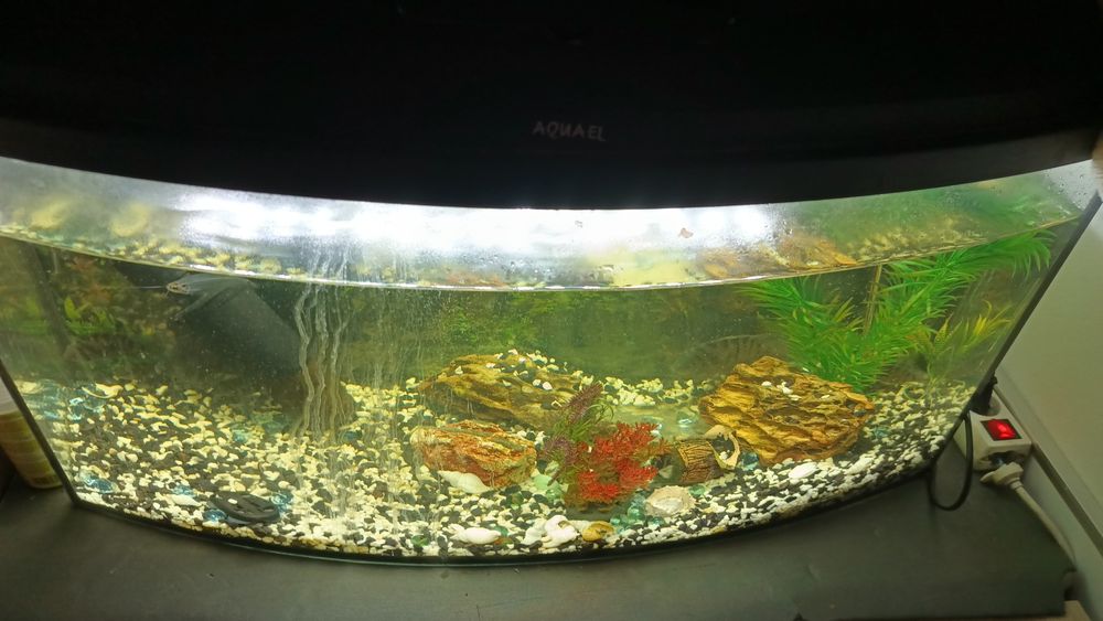 Akwarium Aquaell 120L+ bardzo dużo dodatków