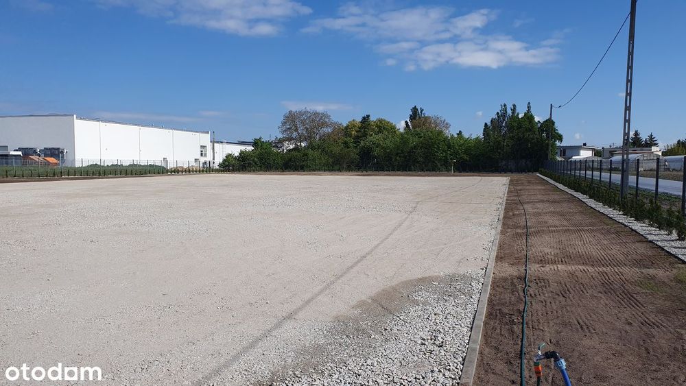 Działka, plac, teren utwardzony, na wynajem SZCZEPANKOWO KRZESINY