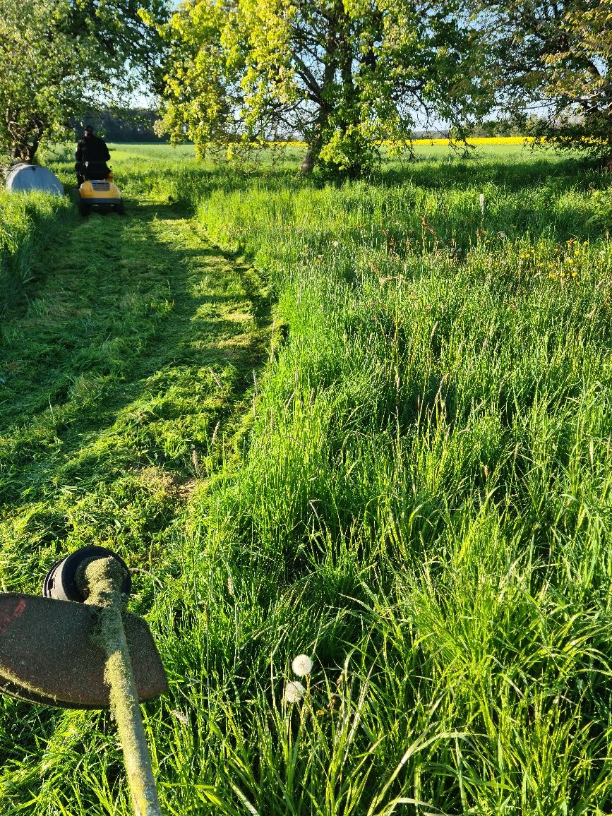 Koszenie traw,terenow zielonych firm,karczowanie działek,wysokich traw