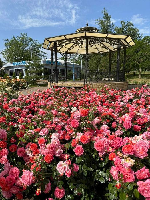 Шикарний вид Перша лінія моря Оксамитовий сезон