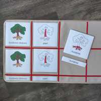 Budowa drzewa karty trójdzielne Montessori