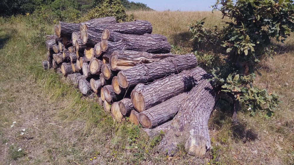 Дрова твёрдых пород: дуб, граб, ясень — без предоплат