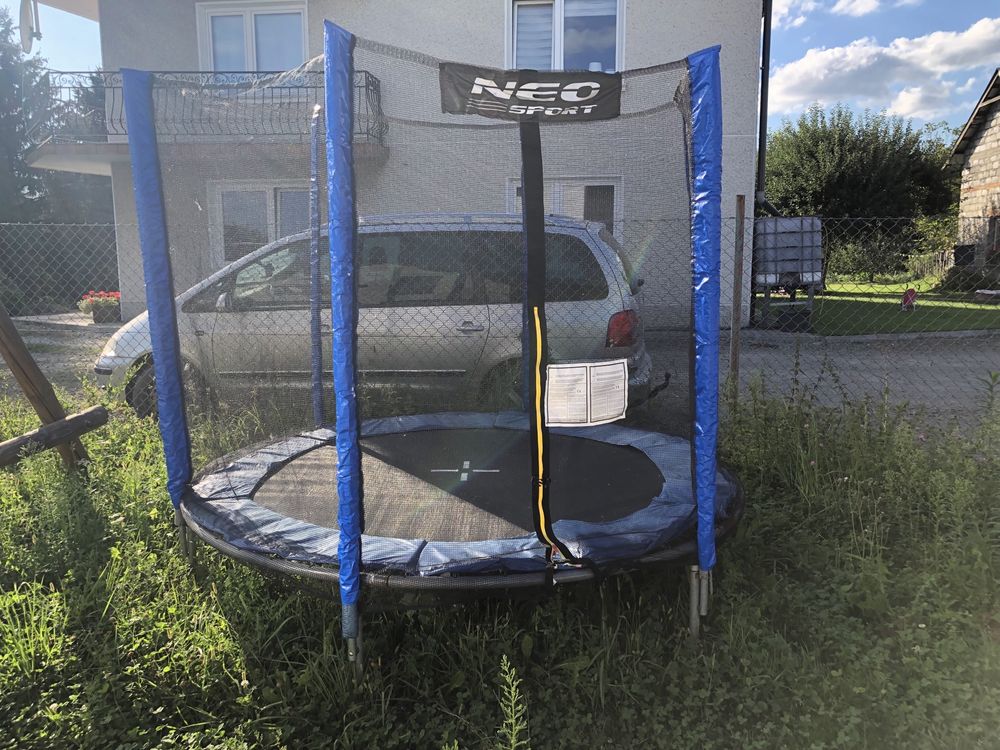 Trampolina 250cm