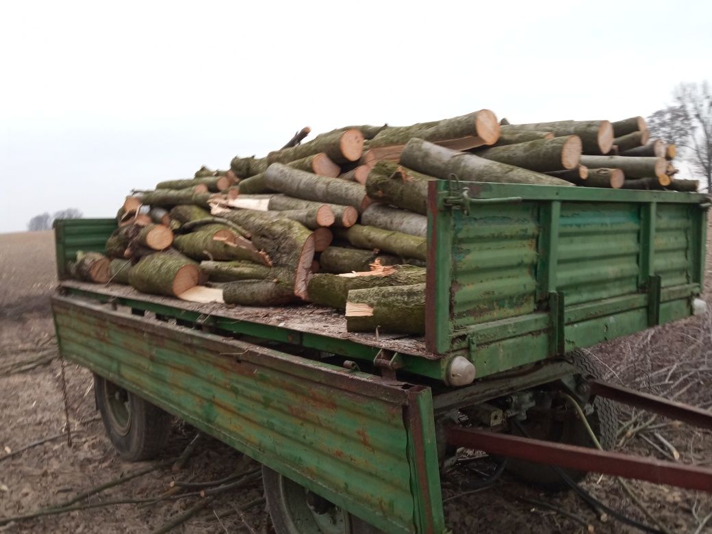 Sezonowane suche drewno kominkowei, opałowe  liściaste