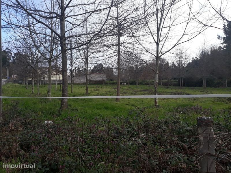 Terreno em Cesar, Oliveira de Azeméis
