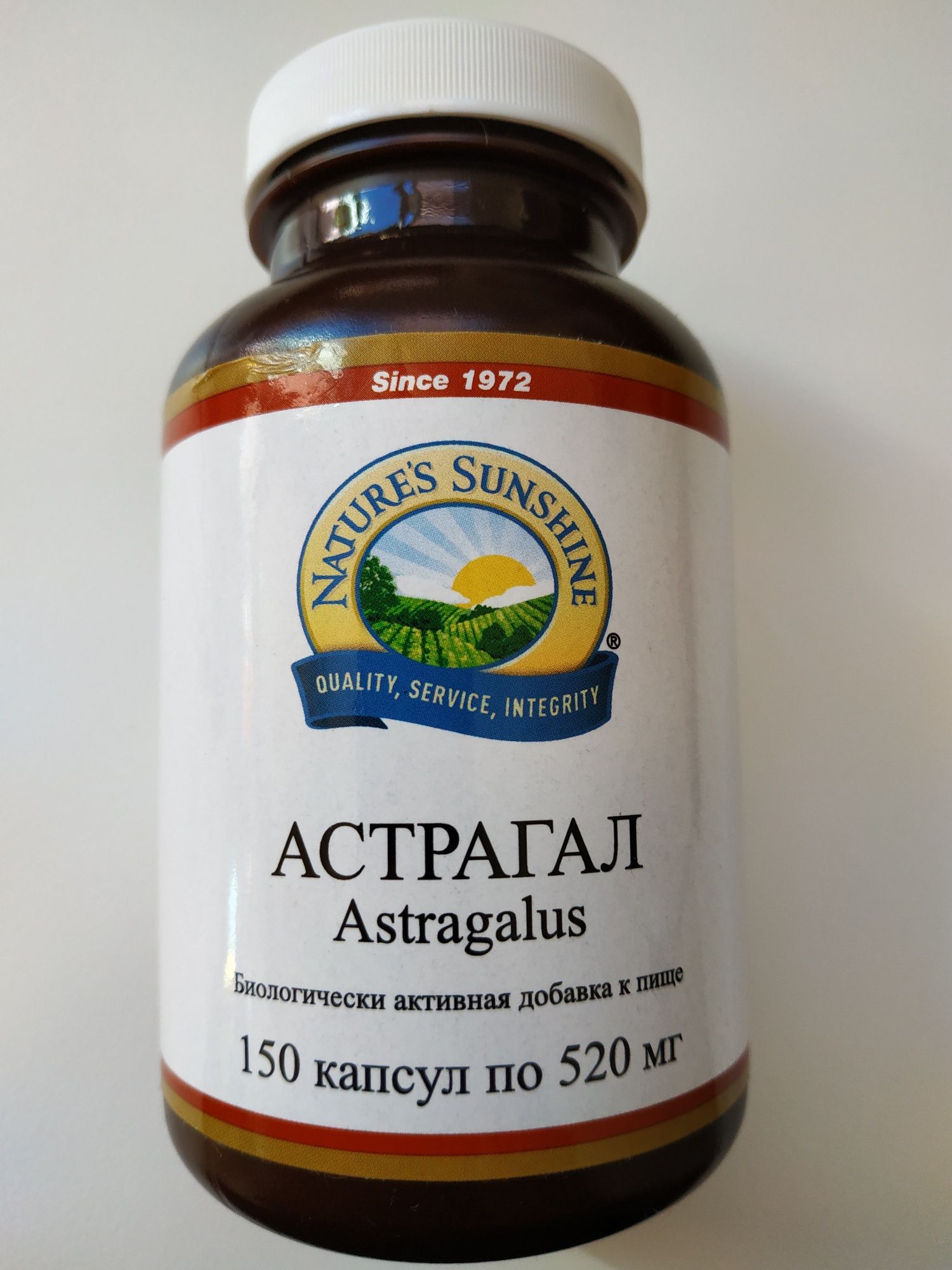 Astragalus - suplement diety