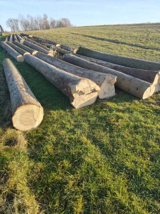 Sprzedam drewno tartaczne