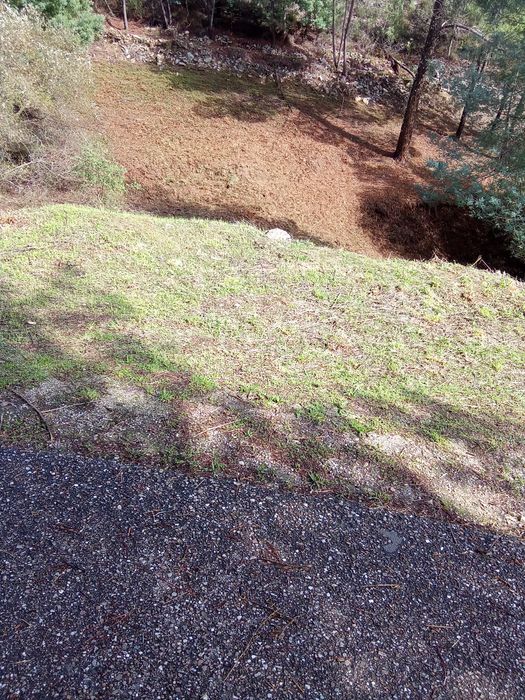 Desmatacao de terrenos.