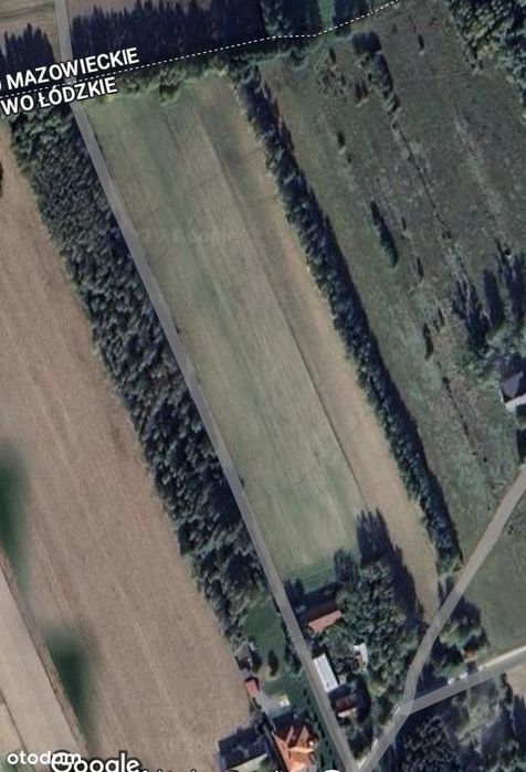 Działka, Nowe Kęszyce