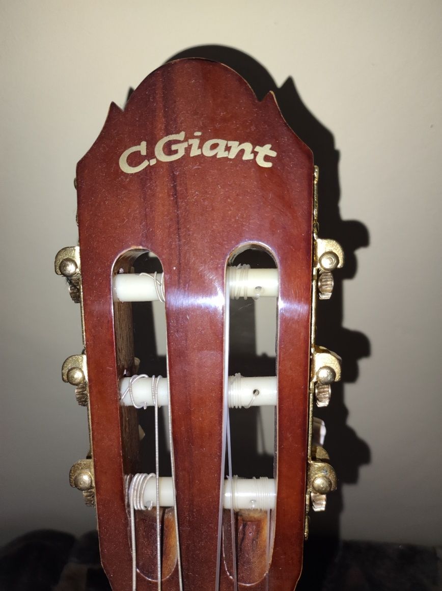 Gitara akustyczna GGiant
