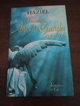 Livro anjo da guarda de Haziel