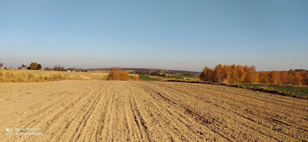 Ziemia 56 arów na Kociubie