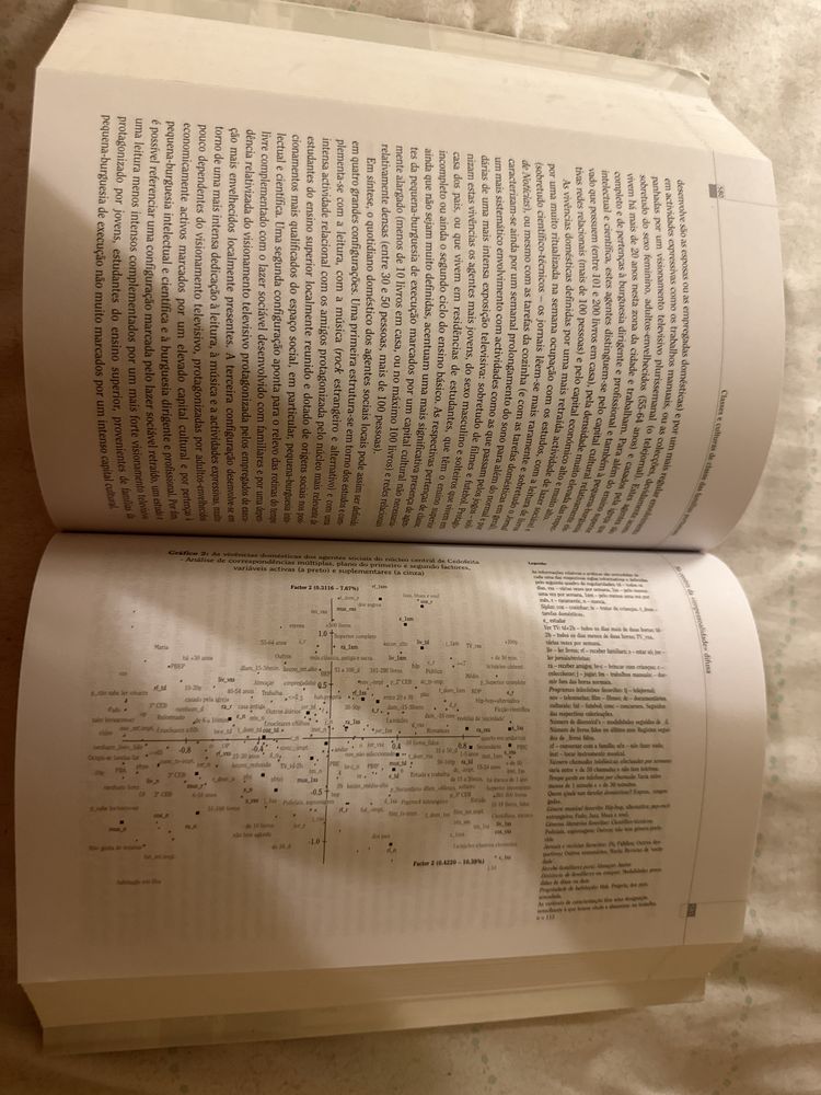 Classes e culturas de classe das famílias portuenses