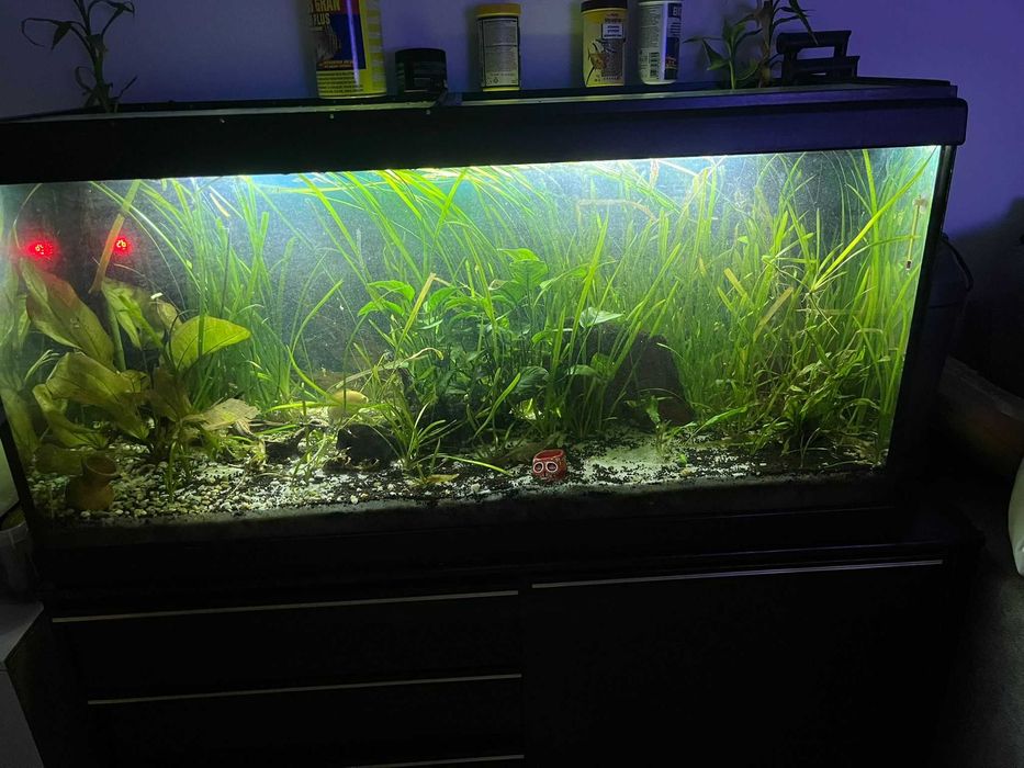 Vendo aquário 200L