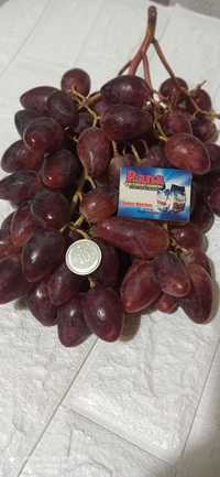 Саженцы винограда черенки