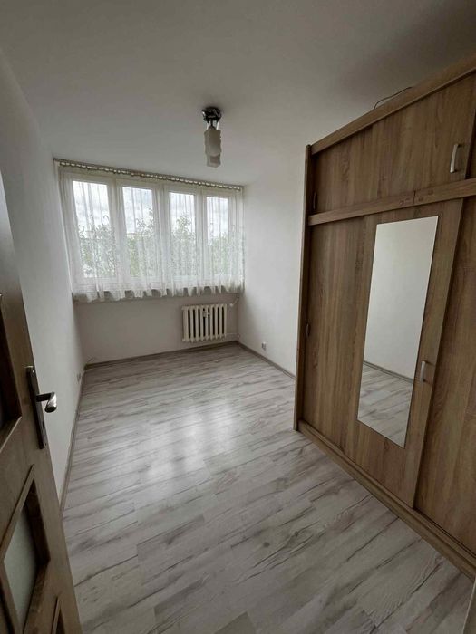 Mieszkanie na wynajem 50m2