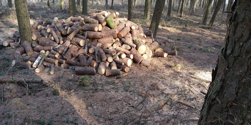 Drewno kominkowe/opał. Liściaste różne gat.zeszły rok Modrzew 2-letni!