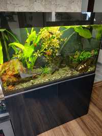 Akwarium Aquael glossy 215 litrów 100 cm