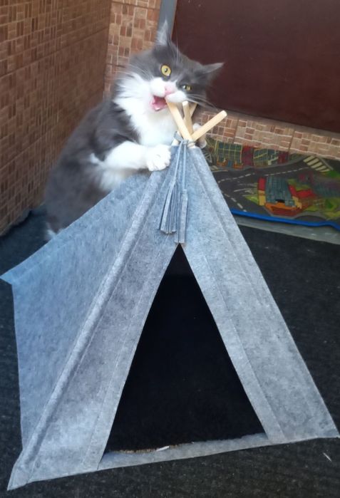 Домик вигвам, лежак, домик для кота, домик для собаки