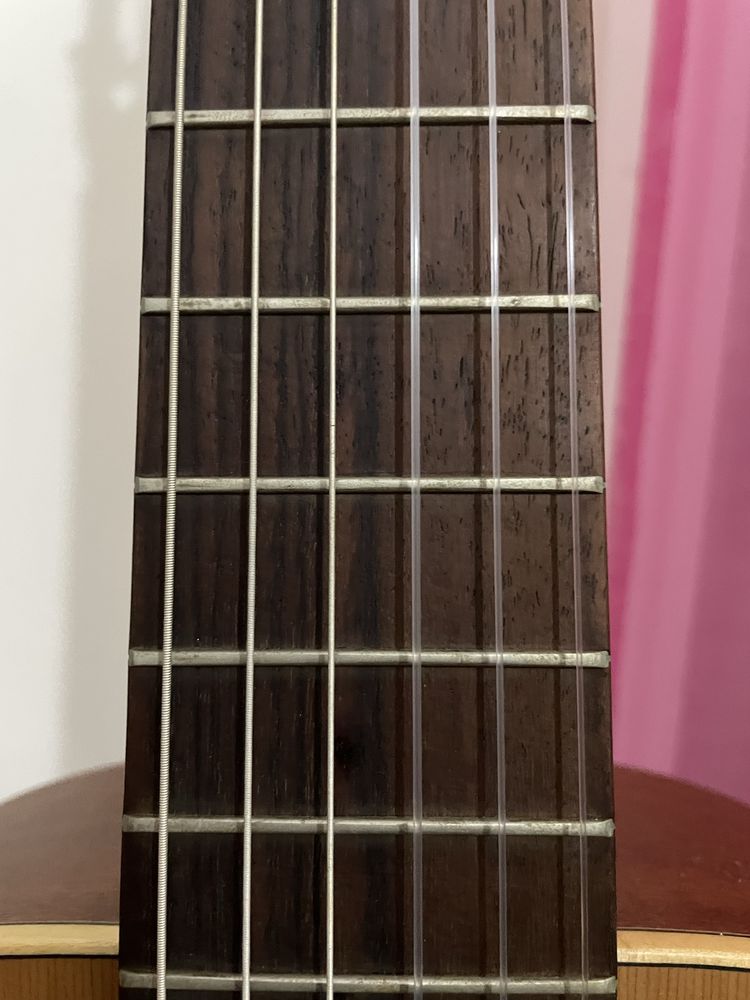 Guitarra Paco Castillo Mate mod. 201