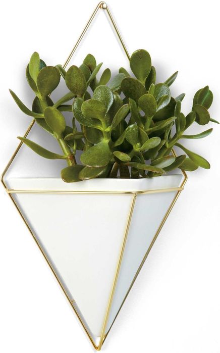 Doniczka ścienna / Organizer / Pojemnik Umbra Trigg biały złoty