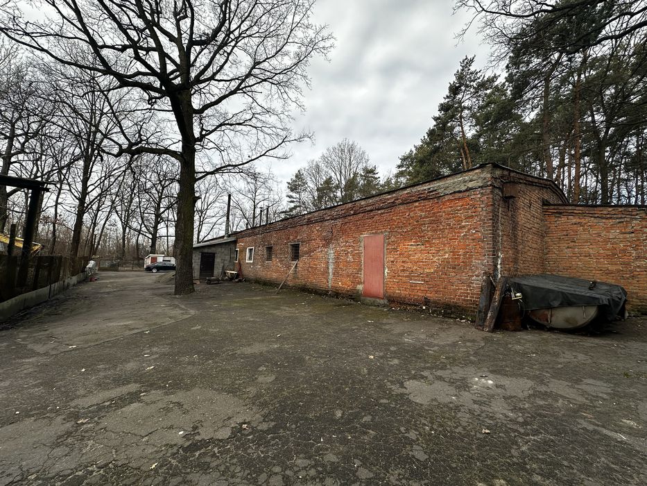 Приміщення. Пподаж. Підприємство. Рибопереробний цех. Бізнес.