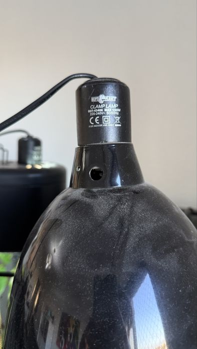 Terrário 1,22cm para camaleão com base com rodas