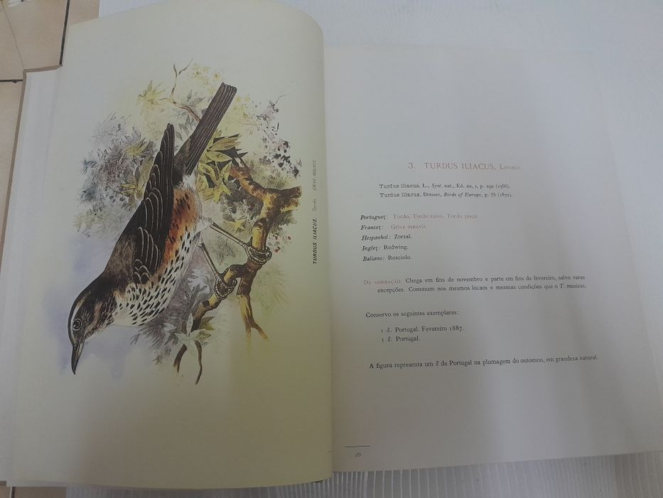 Aves de Portugal, D.Carlos de Bragança