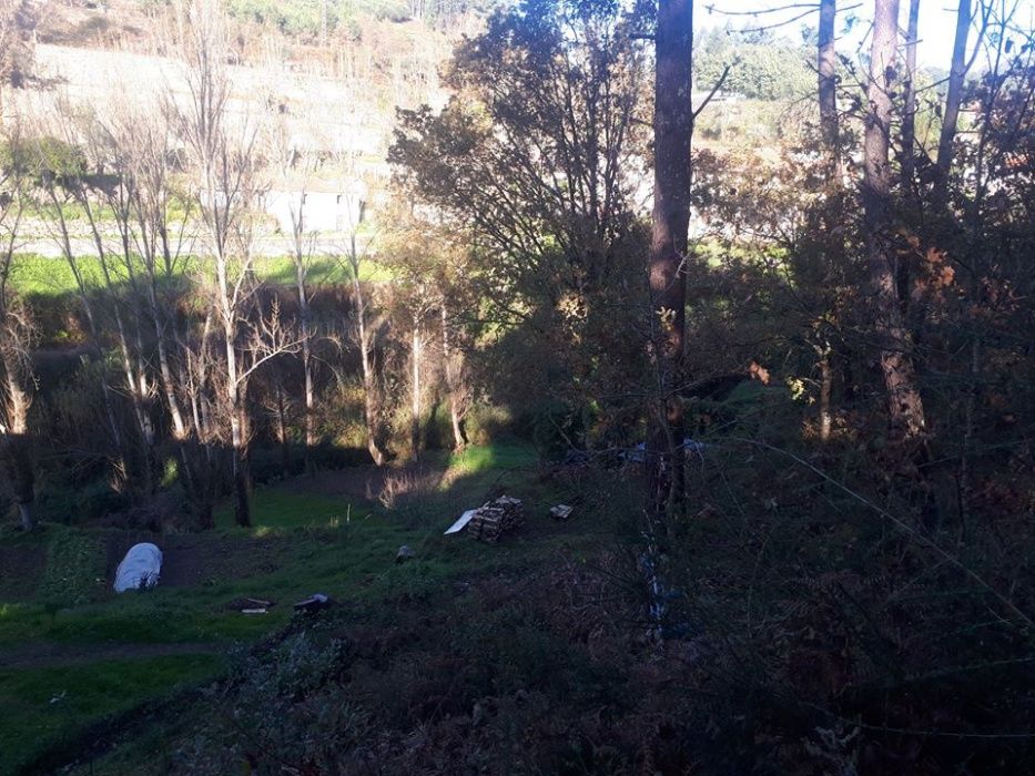 Quinta em Travanca, moinho azenha em ruínas, ribeiro com água corredia