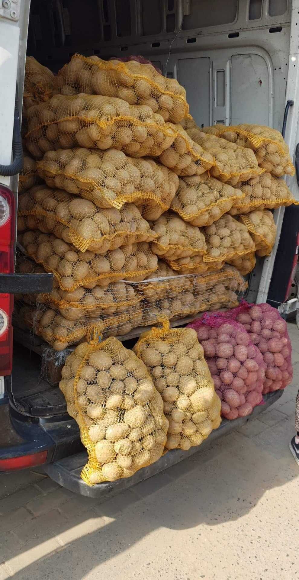 Ziemniaki na zimę z DOWOZEM odmiany Gala, Vineta, czerwone worki 15kg